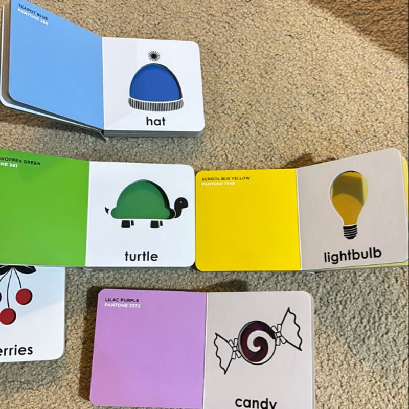 Children’s Pantone Color Block Books