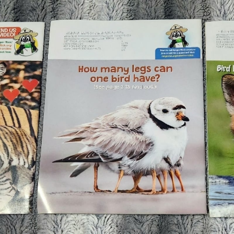 Ranger Rick Magazine: June, July, November 2021