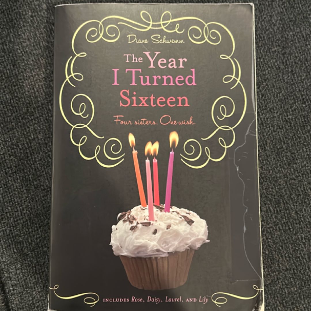 The Year I Turned Sixteen
