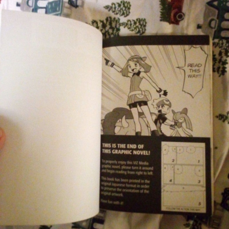 Pokémon Adventures: Omega Ruby and Alpha Sapphire, Vol. 1