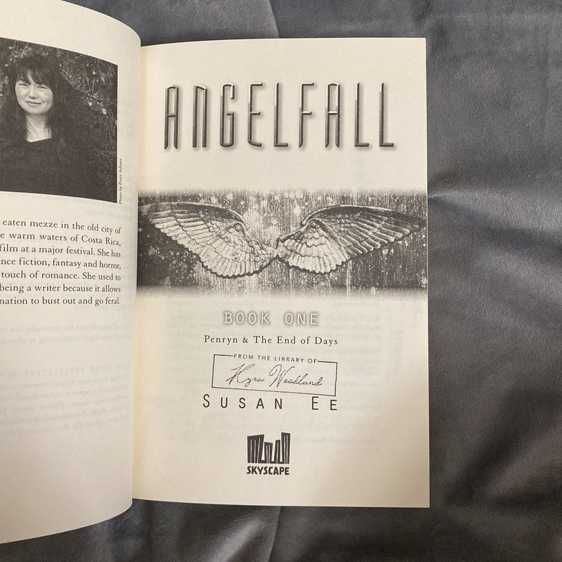 Angelfall