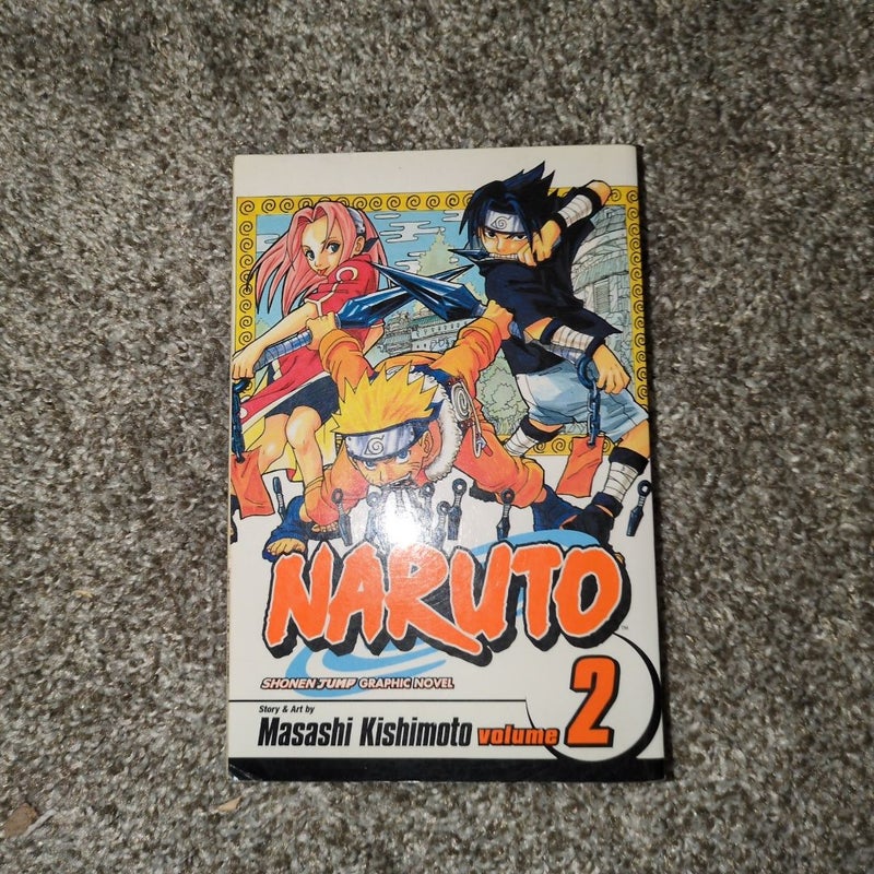 Naruto, Vol. 2