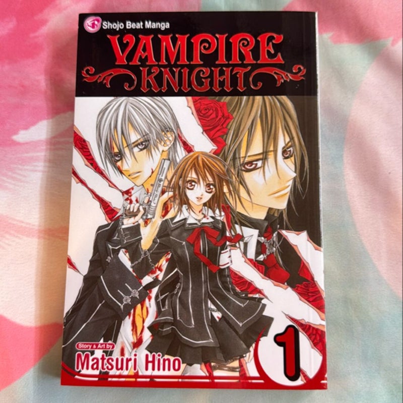 Vampire Knight, Vol. 1