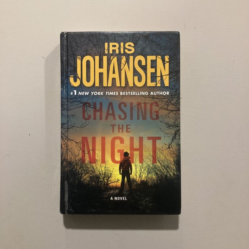 Chasing the Night (large print)