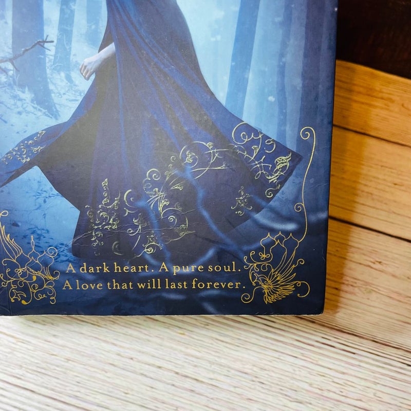 RARE Signed The Gathering Dark Leigh Bardugo Shadow and Bone 