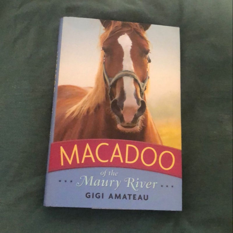 Macadoo: Horses of the Maury River Stables