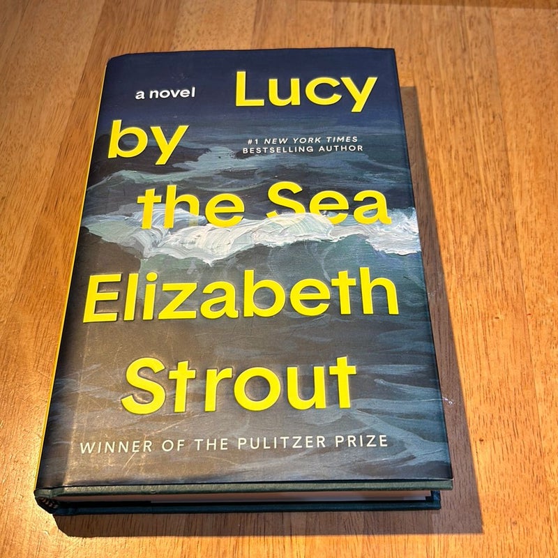 1st ed./1st * Lucy by the Sea