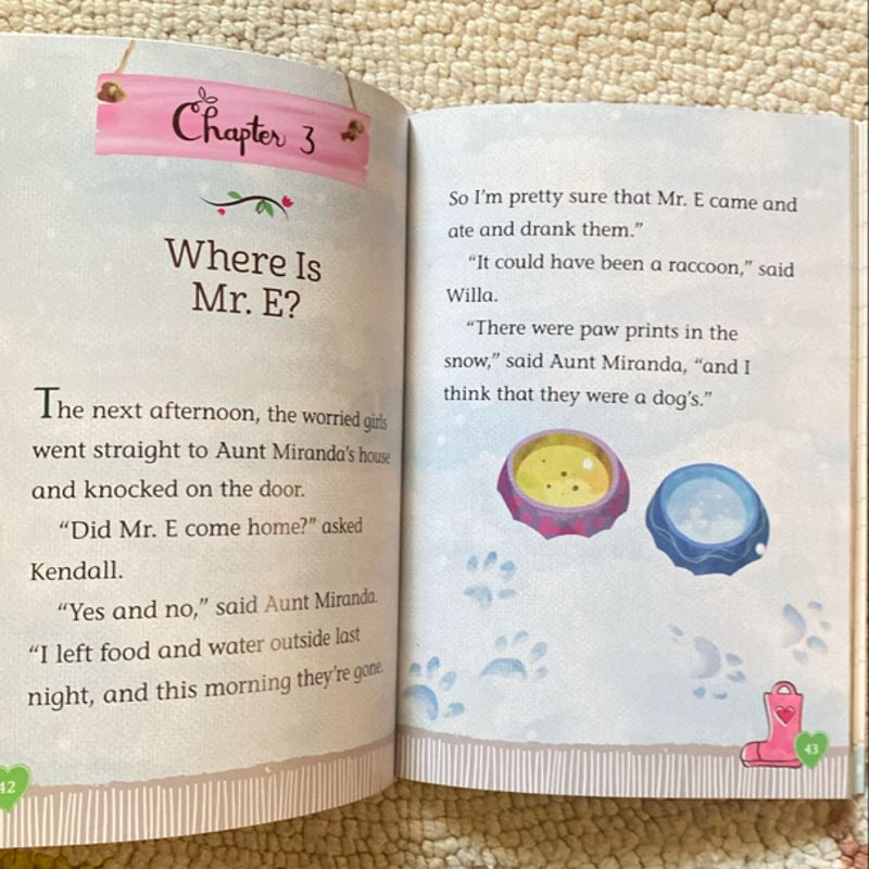The Mystery of Mr. E