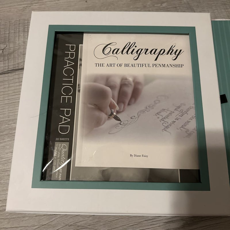 A Complete Kit for Art Enthusiasts Calligraphy