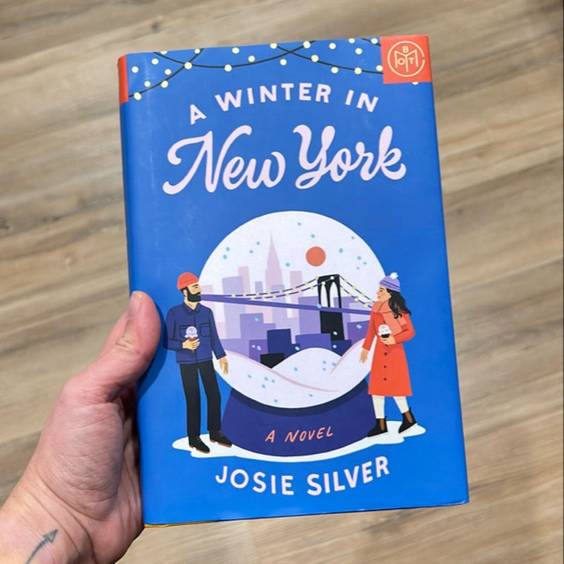 A Winter in New York