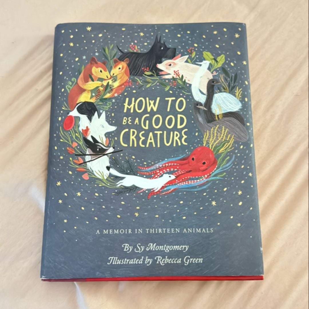 Sale image for 44d72388-aa12-4990-8954-2b4688ff84bb-LLcdMVEI6DOHOhAYNU5Z2ghHSd53