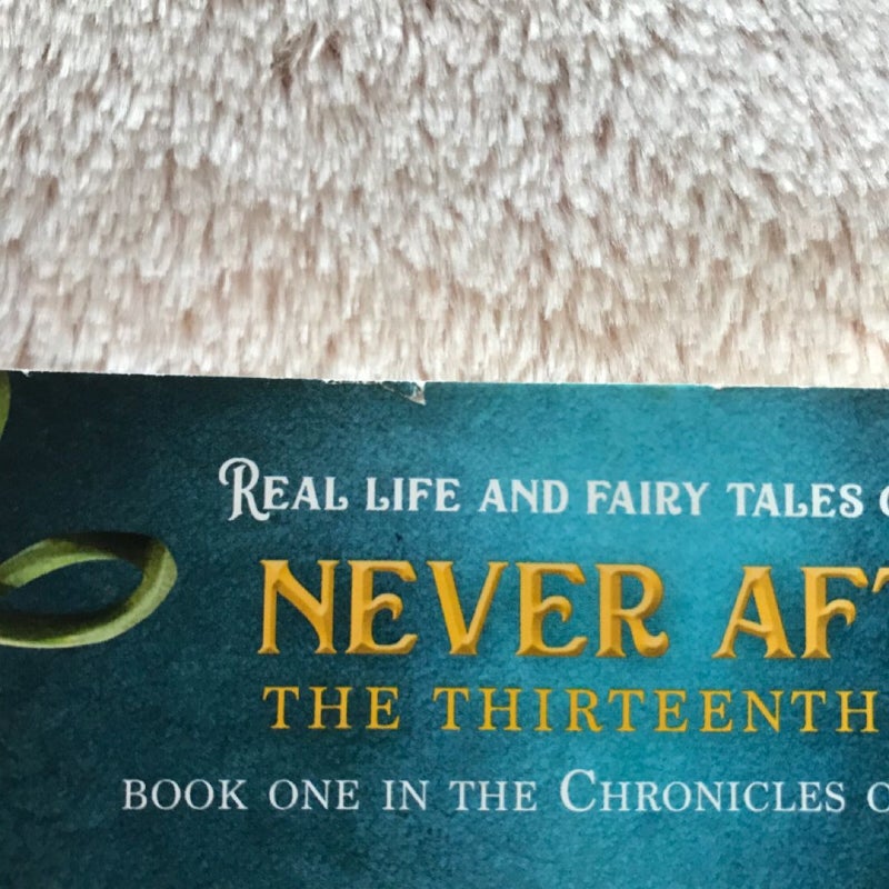 Never After: the Thirteenth Fairy