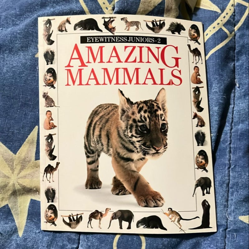 Amazing Mammals