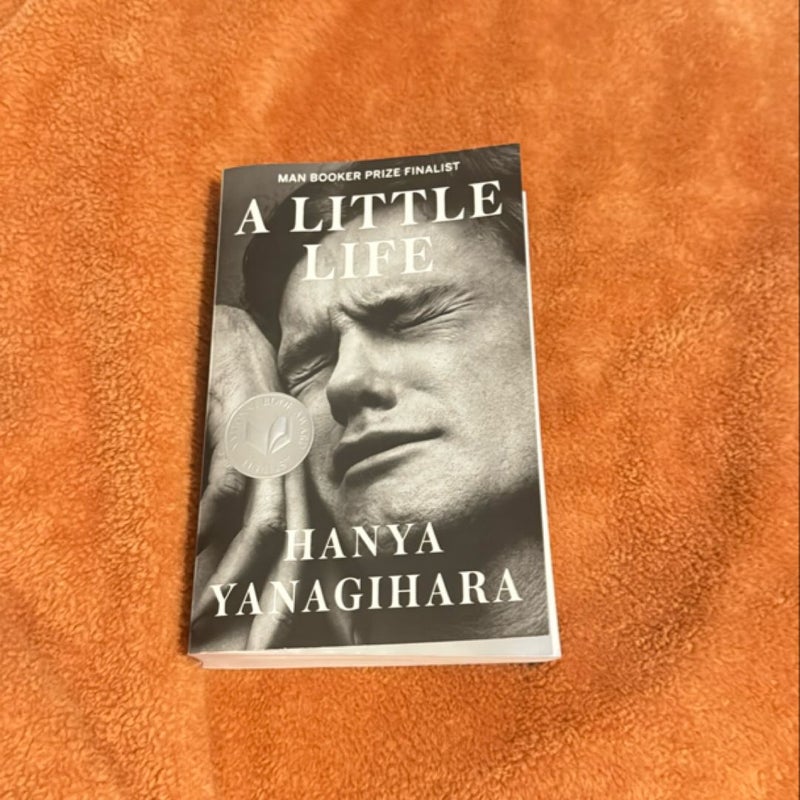 A Little Life