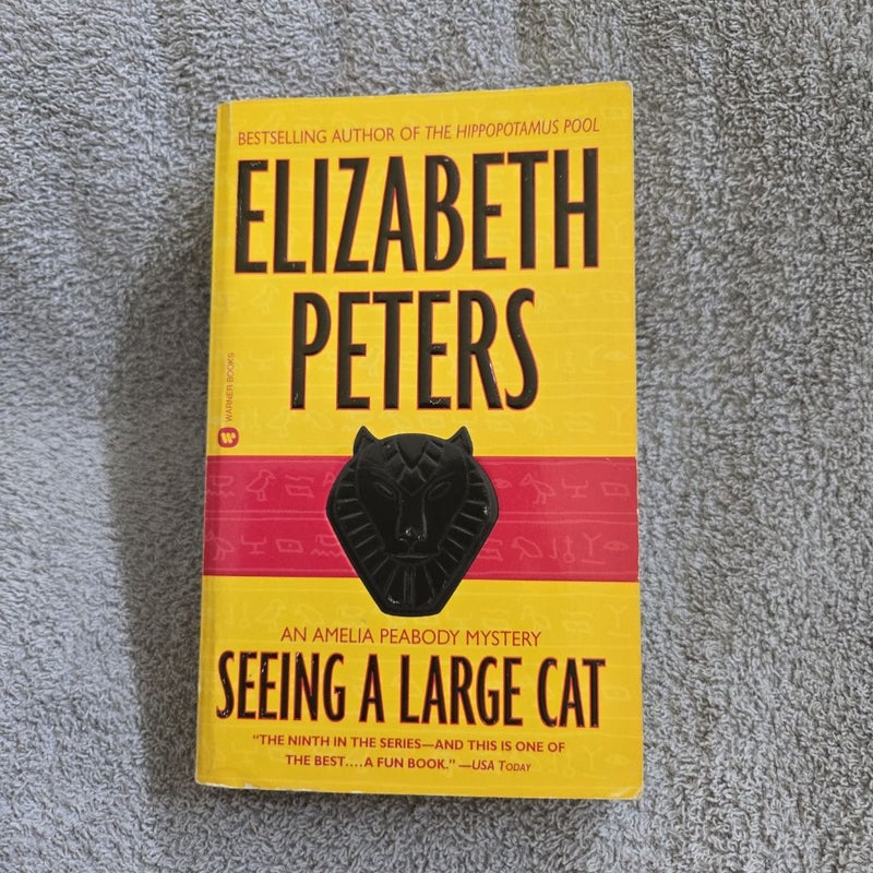 Seeing a Large Cat