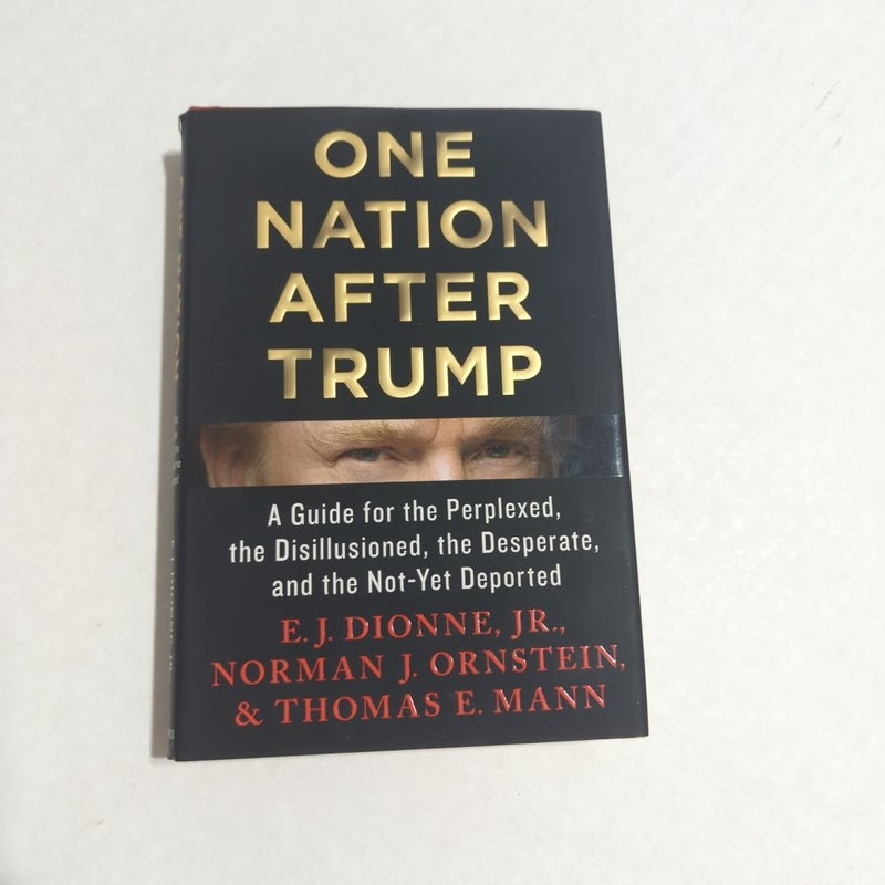 One Nation after Trump