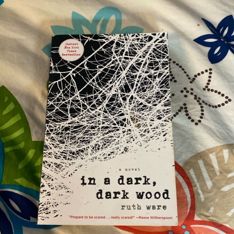 In a Dark, Dark Wood