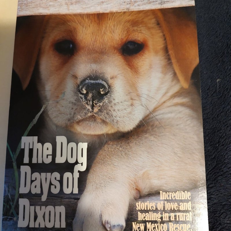 The Dog Days of Dixon