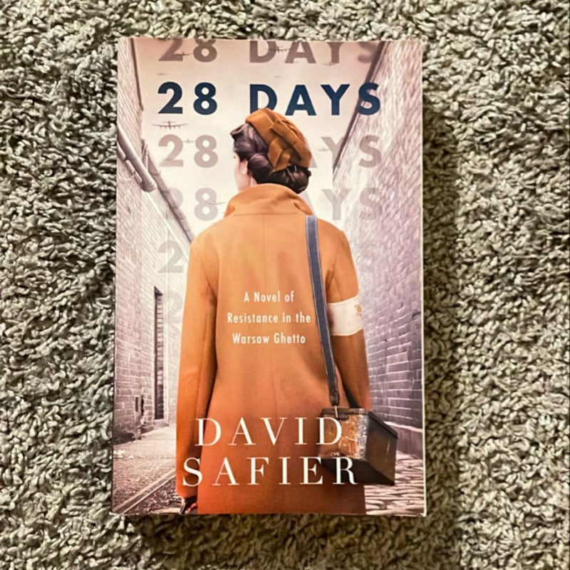 28 Days: a Novel of Resistance in the Warsaw Ghetto