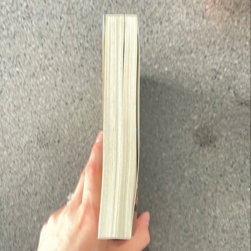 The Cinnamon Bun Book Store (Dream Harbor, Book 2)