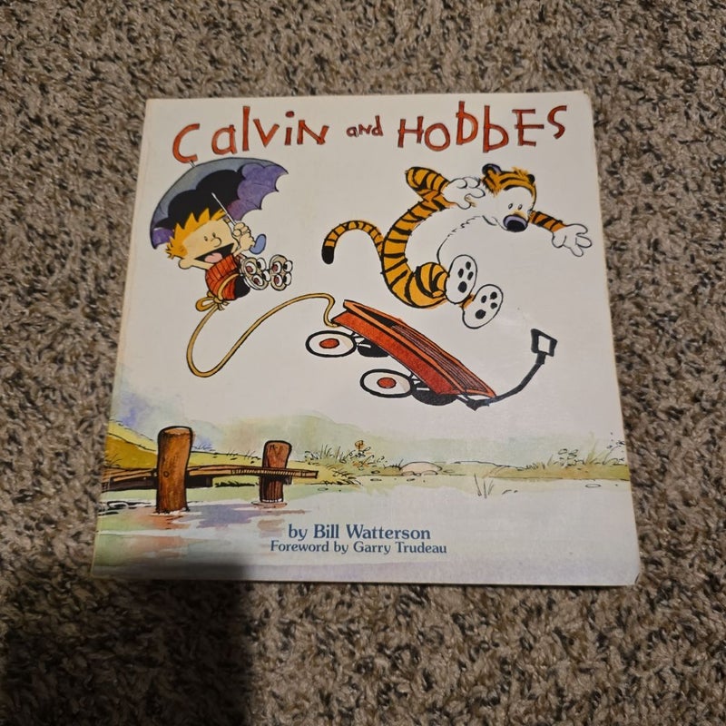 Calvin and Hobbes