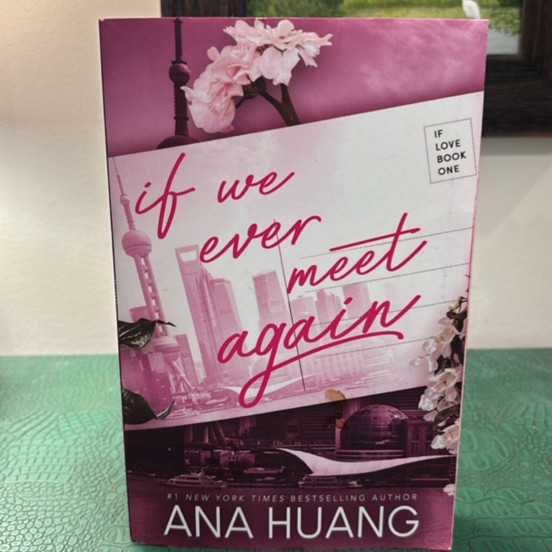 If We Ever Meet Again