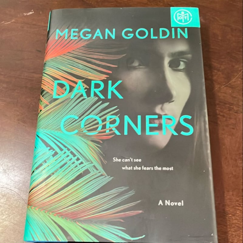 Dark Corners by Megan Goldin, Hardcover Pangobooks