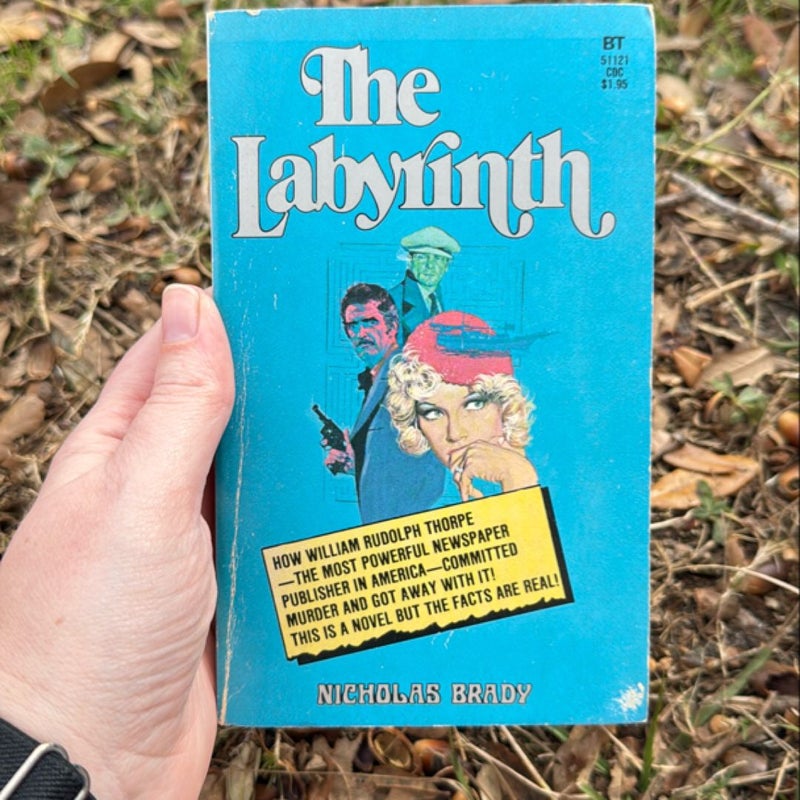 The Labrinth