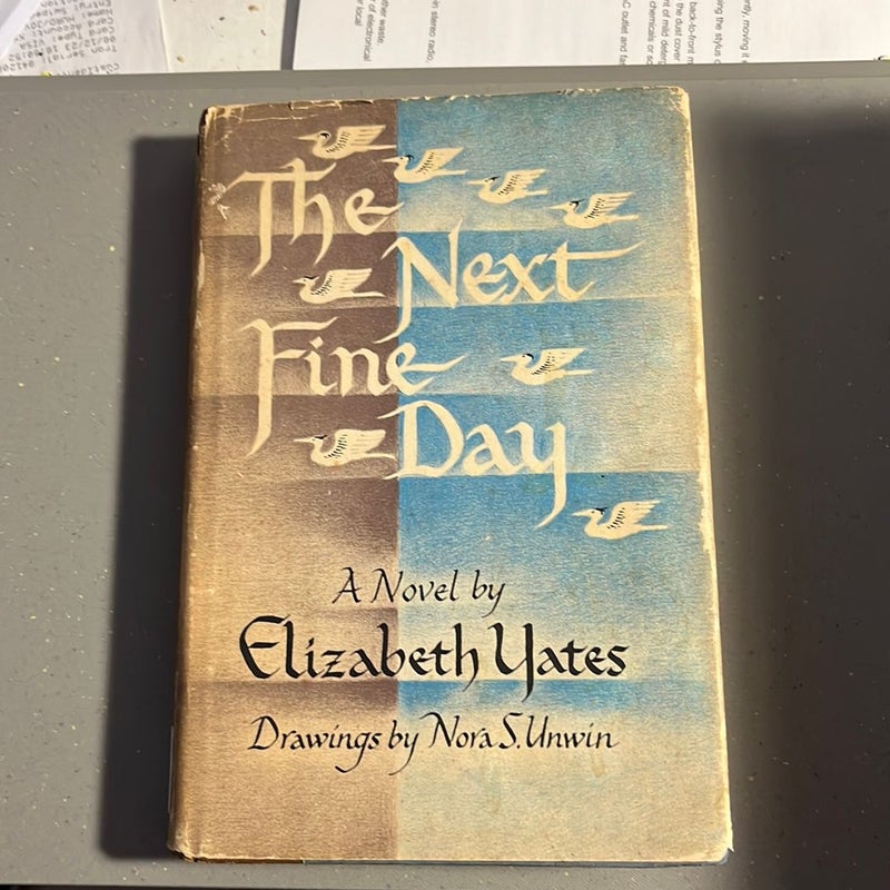 The Next Fine Day