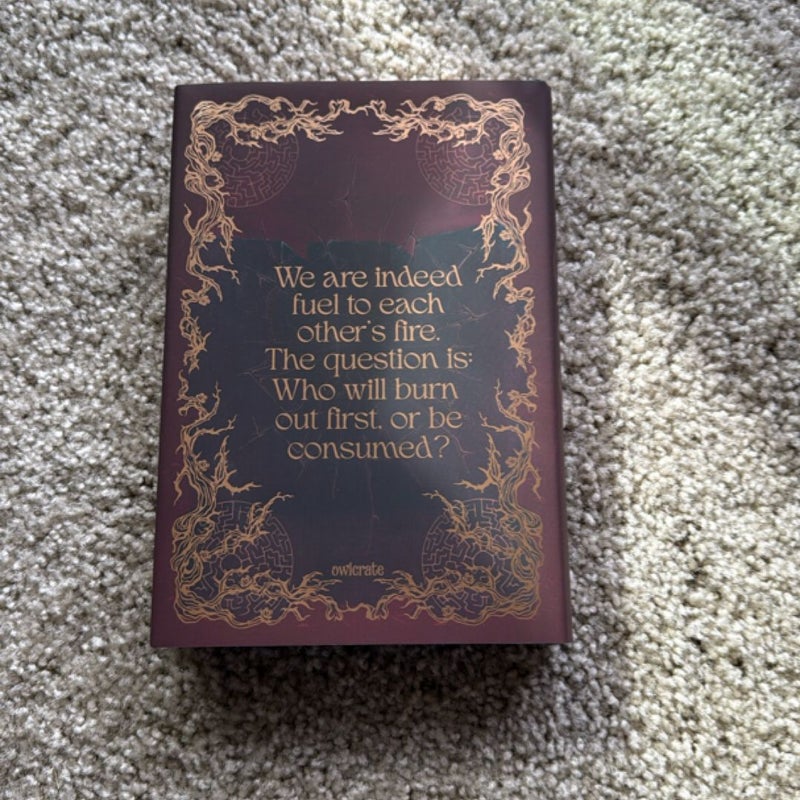 Exquisite Ruin (Owlcrate)