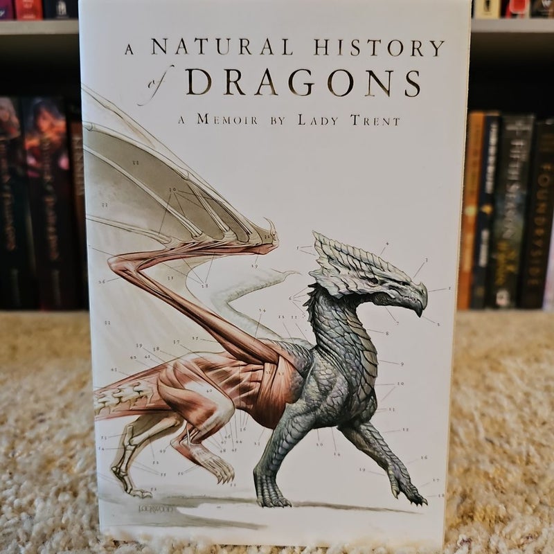 A Natural History of Dragons