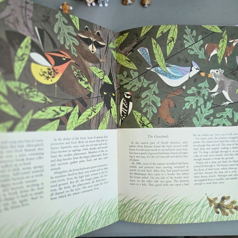 The Golden Pleasure Book of Biology