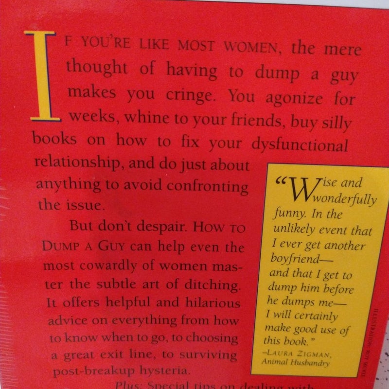 How to Dump a Guy