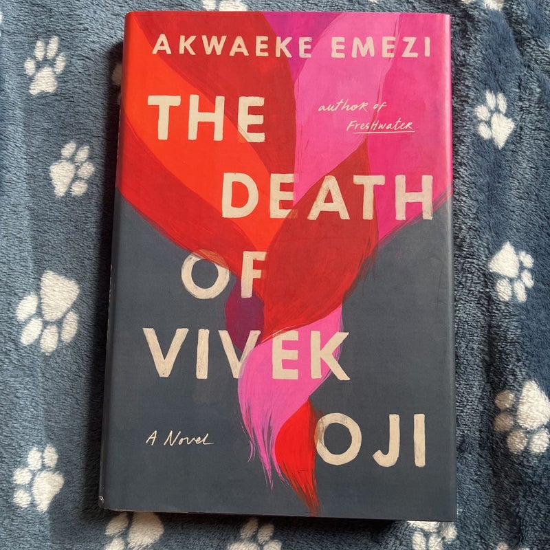 The Death of Vivek Oji