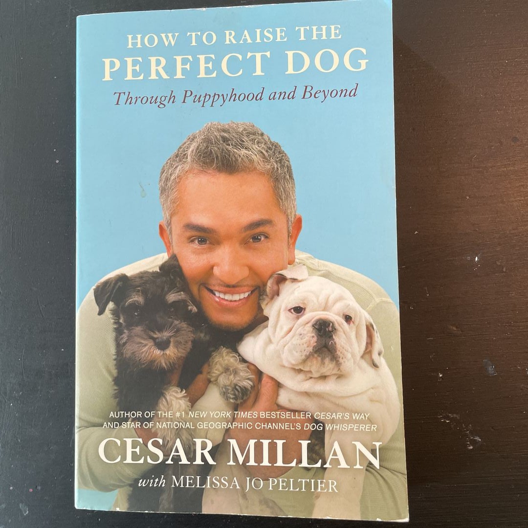 Cesar millan perfect clearance puppy