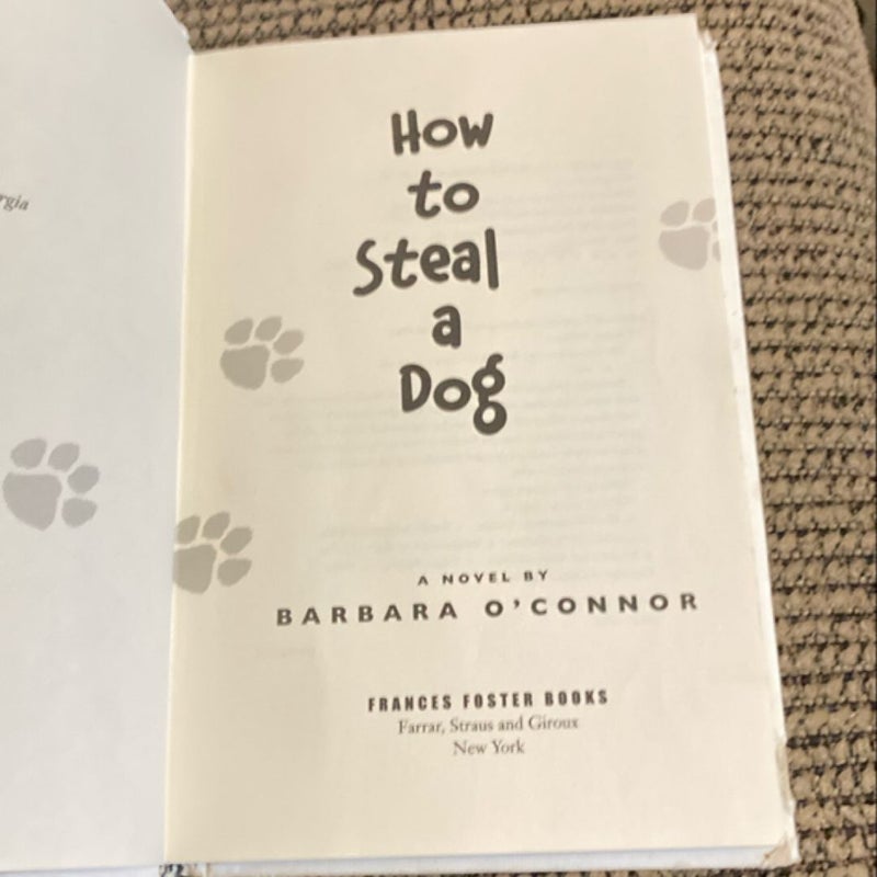 How to Steal a Dog