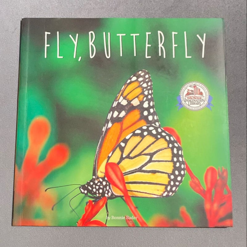 Fly, Butterfly