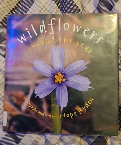 Wildflowers Around the Year