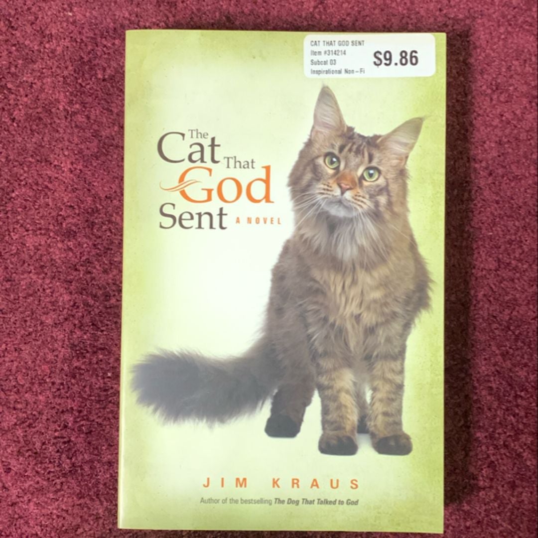 The Cat That God Sent