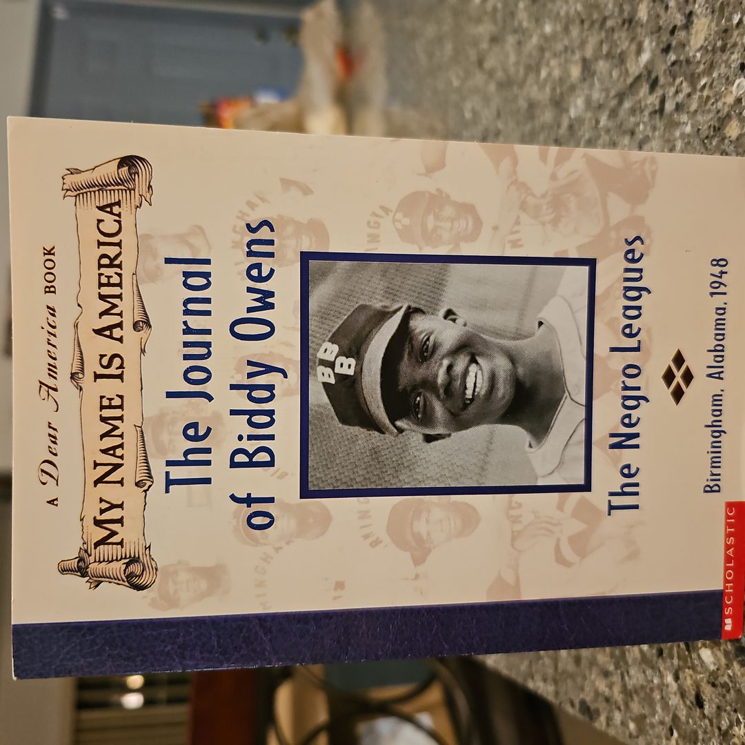 The Journal of Biddy Owens