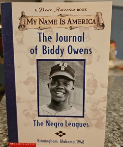 The Journal of Biddy Owens*