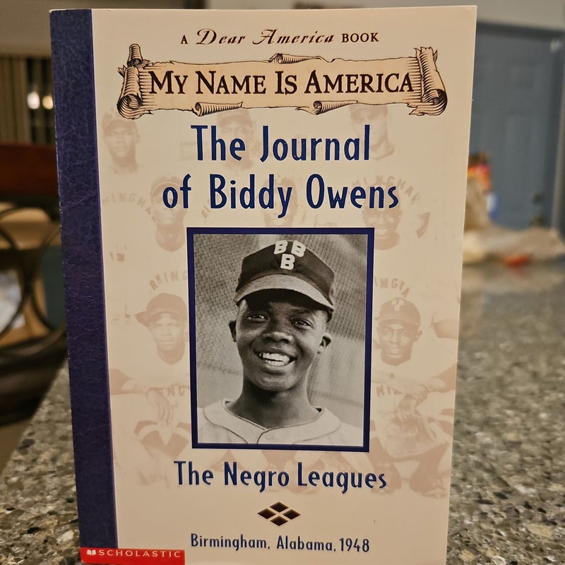 The Journal of Biddy Owens*
