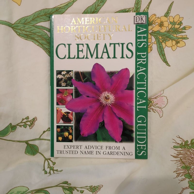 Clematis