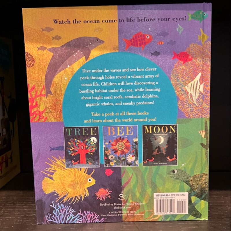 Ocean: a Peek-Through Picture Book