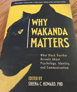 Why Wakanda Matters
