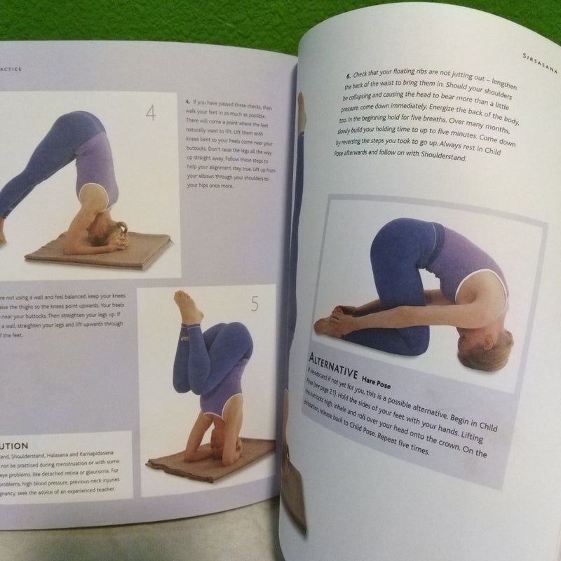 50 Best Yoga Positions