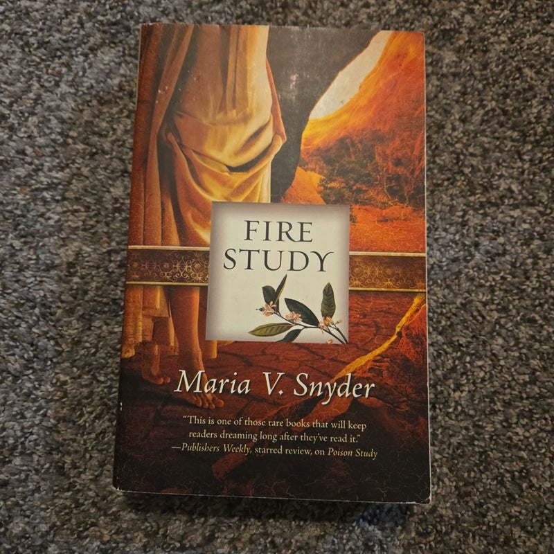 Fire Study