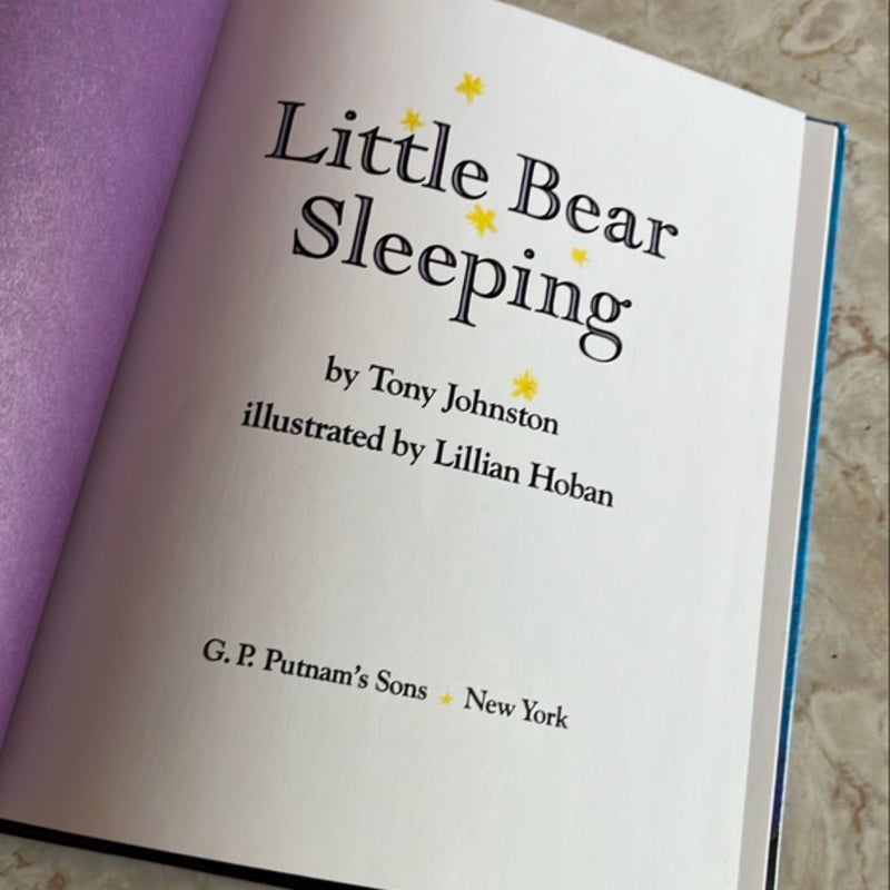 Little Bear Sleeping