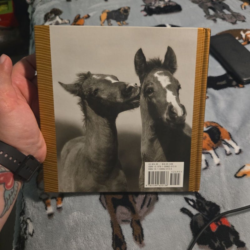 The Big Book of Horses