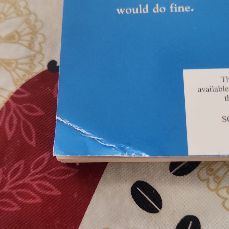 The Summer of Riley by Eve Bunting, Paperback | Pangobooks